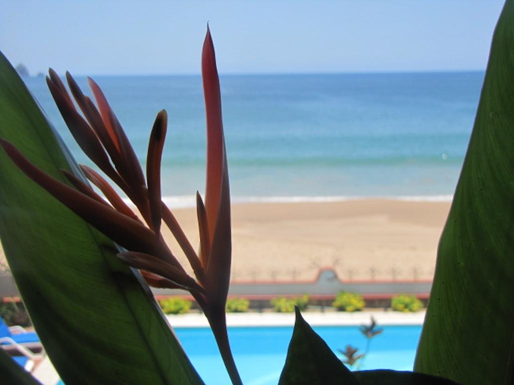 圣帕特里西奥梅拉克 La Paloma Oceanfront Retreat酒店 客房 照片